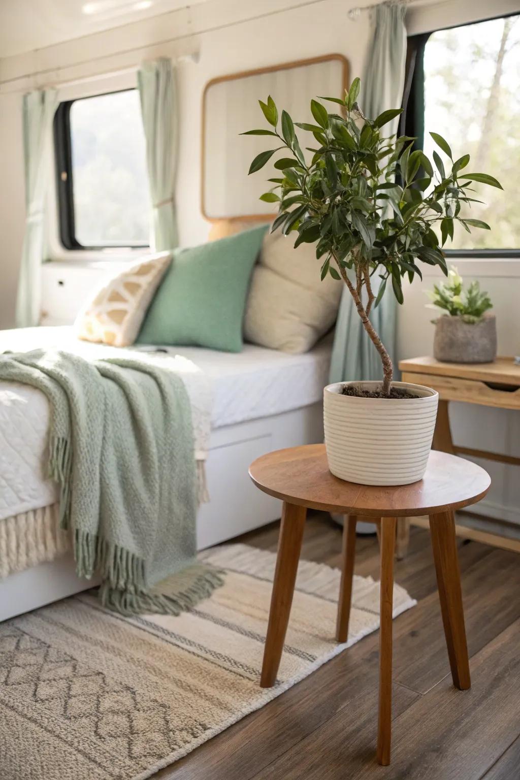 Breathe life into your space with greenery that adds freshness and color.