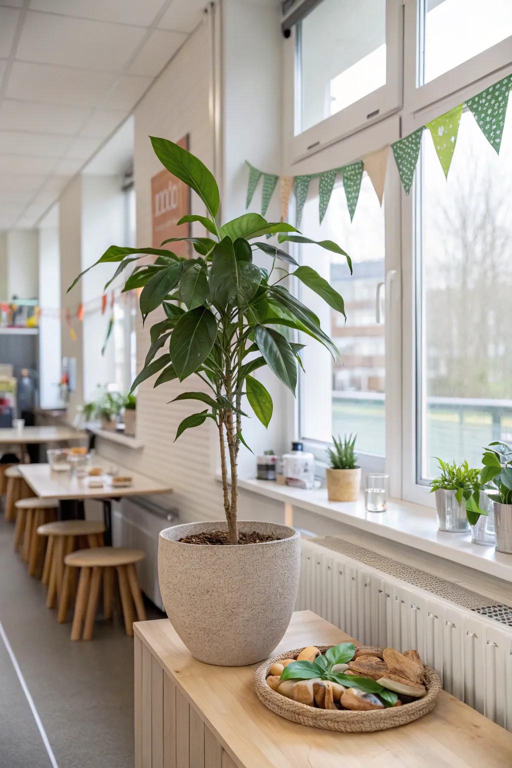 Bring nature indoors with eco-friendly decor that refreshes the space.