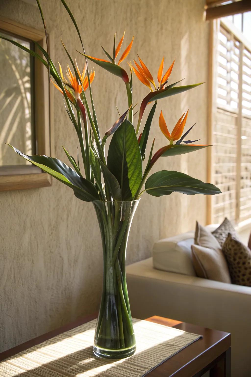 Let the Bird of Paradise's natural beauty shine with a simple, elegant vase. #MinimalistDecor #TropicalVibes