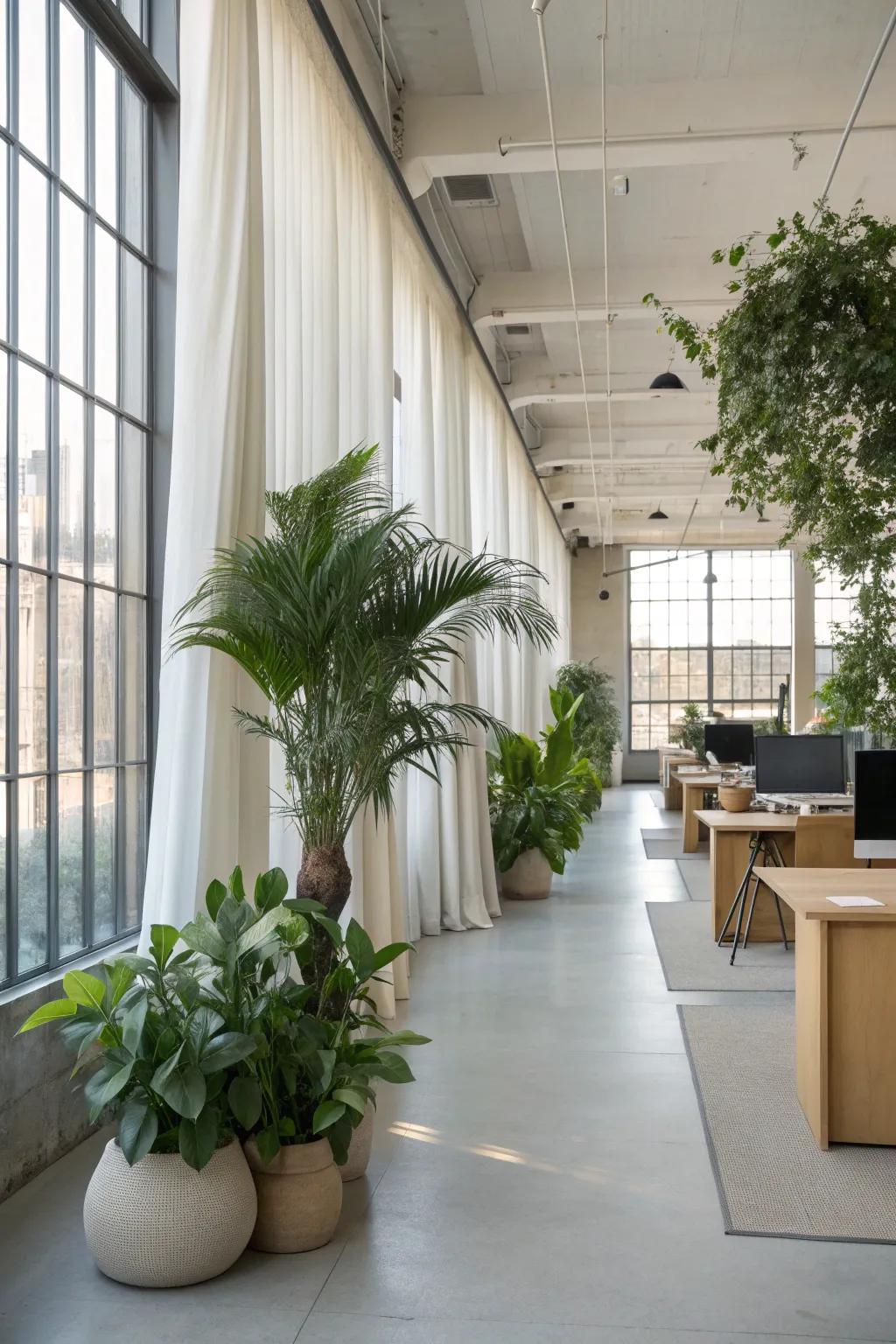 Green is serene! Bring nature indoors for a refreshing office vibe. 🌿 #OfficePlants #GreenWorkspace
