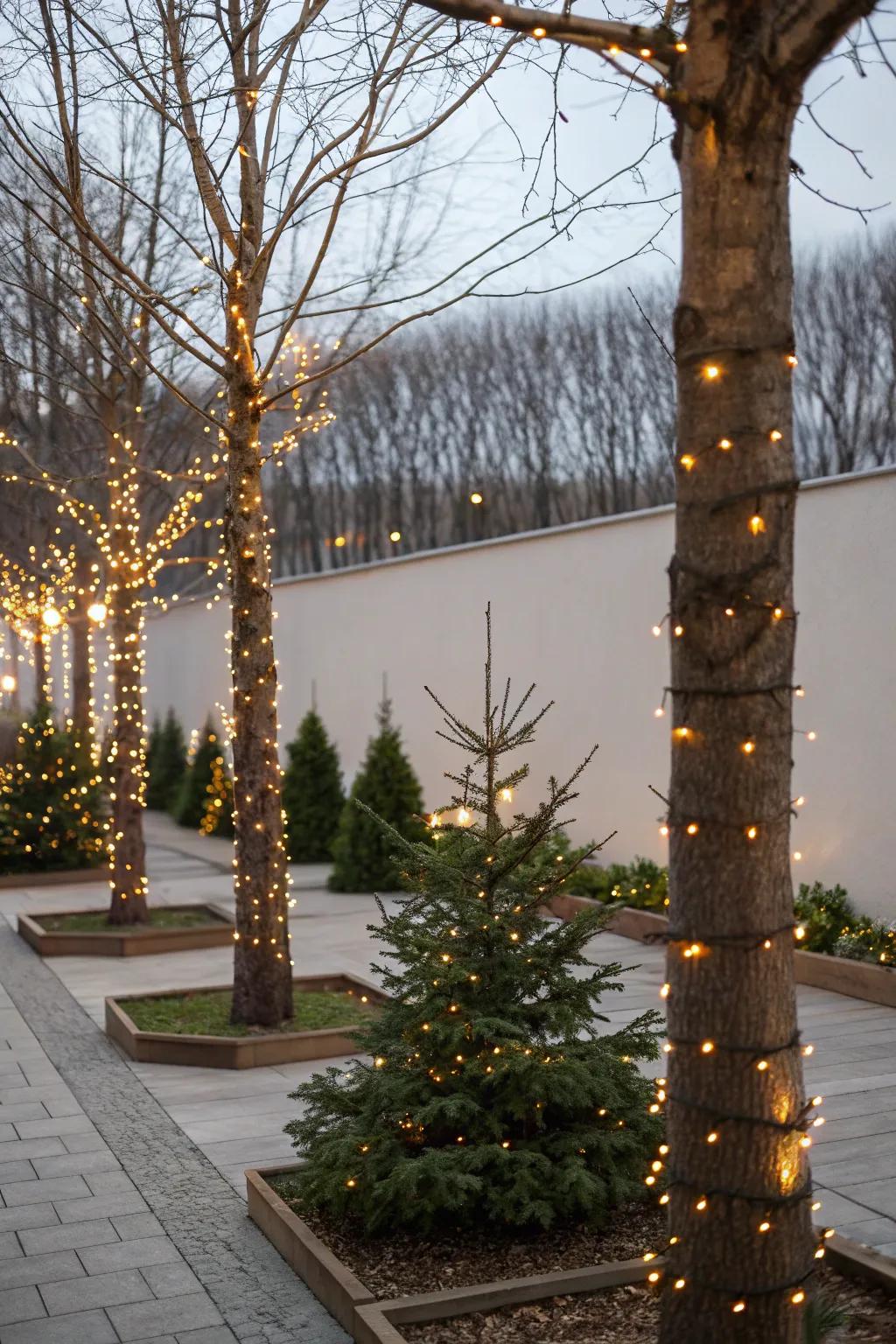 Transform your garden into a sparkling wonderland with tree wraps that twinkle like stars.