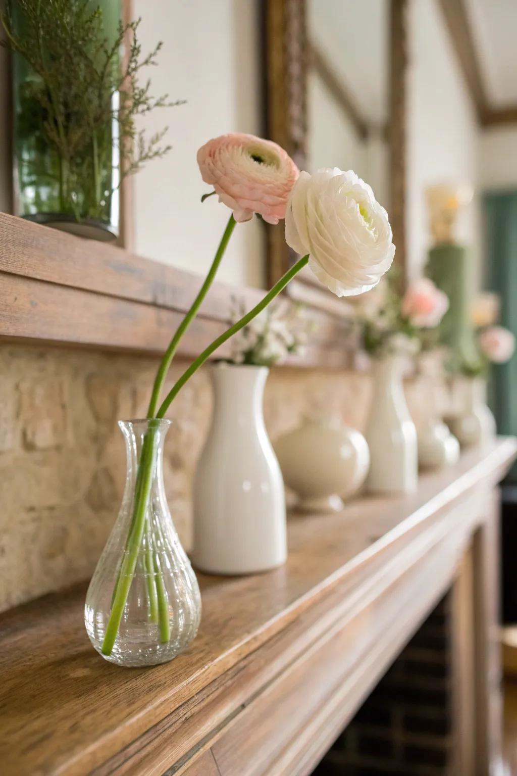 Highlight the elegance of each ranunculus stem with a minimalist display.