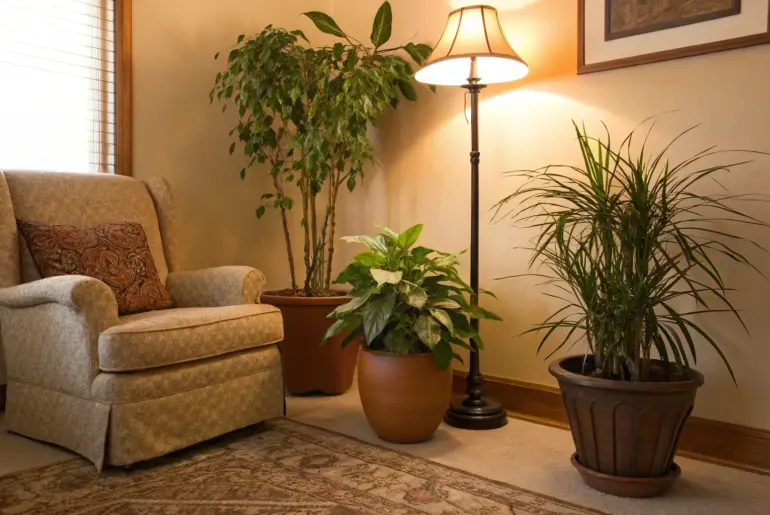 The Rule of Three: Decorating Secrets Designers Swear By